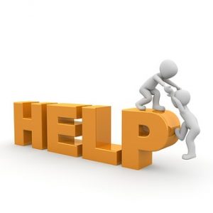 google voice 800 number google voice 800 number